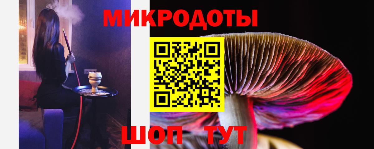 Дзержинский  Галлюциногенные грибы прущие грибы  Вход с VPN 